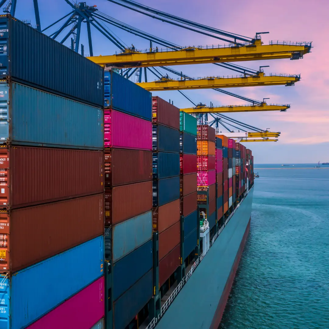 Import and export logistics